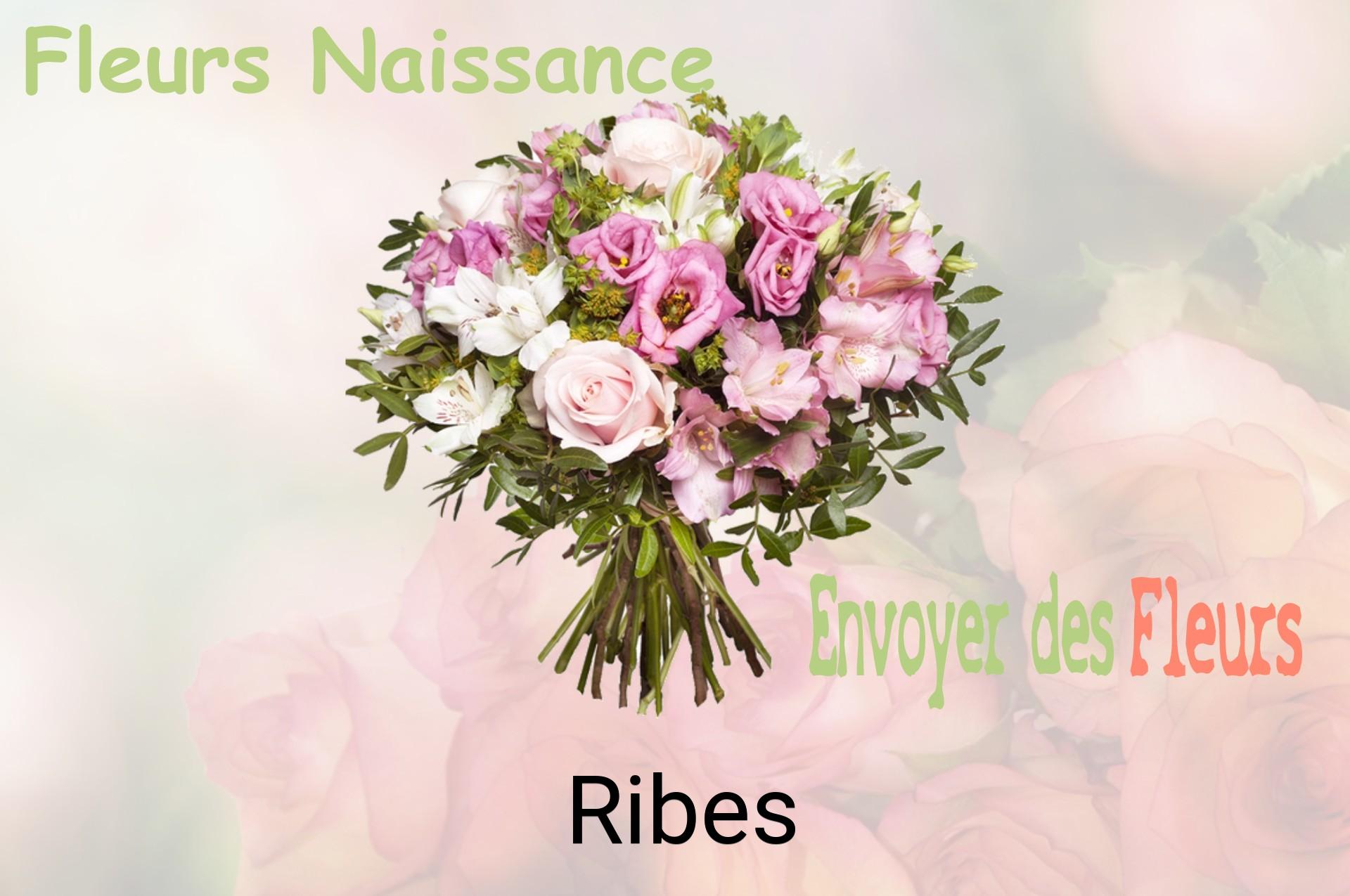 Bouquet de fleurs de naissance livré à Ribes